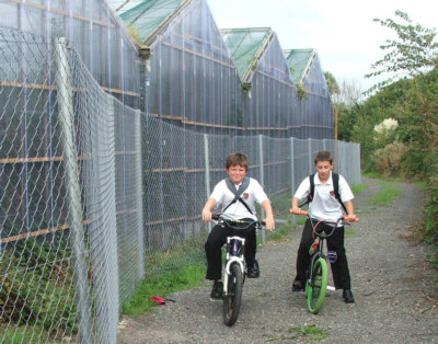 Students Cycling  by Greenhouses